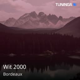Wit 2000