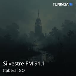 Silvestre FM 91.1