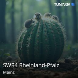 SWR4 Rheinland-Pfalz