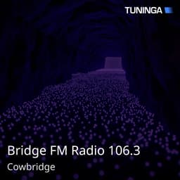 Bridge FM Radio 106.3