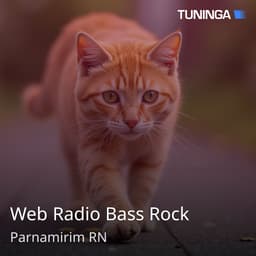 Web Radio Bass Rock