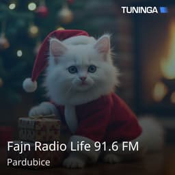 Fajn Radio Life 91.6 FM