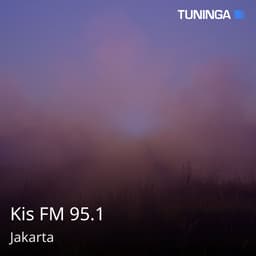 Kis FM 95.1