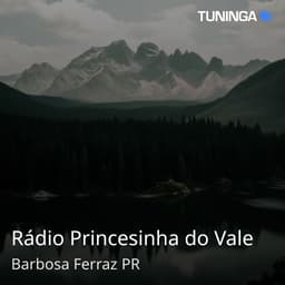 Rádio Princesinha do Vale
