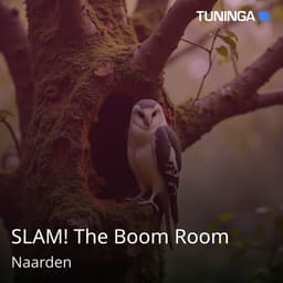 SLAM! The Boom Room