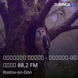 Детское Радио - Ростов-на-Дону 88,2 FM