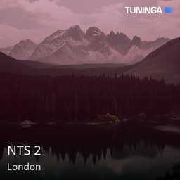 NTS 2