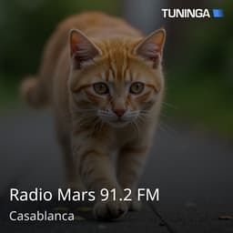 Radio Mars 91.2 FM