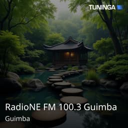 RadioNE FM 100.3 Guimba