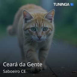 Ceará da Gente