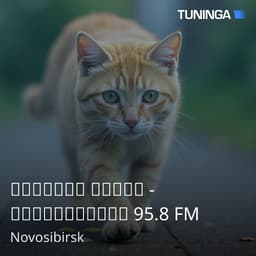 Детское радио - Новосибирск 95.8 FM