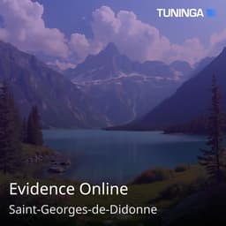 Evidence Online