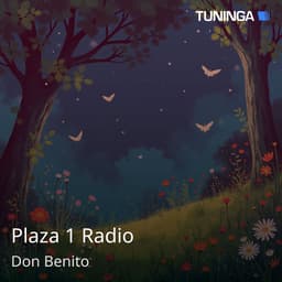 Plaza 1 Radio