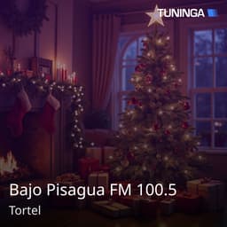 Bajo Pisagua FM 100.5