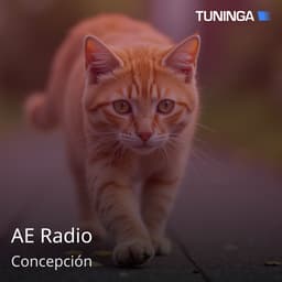 AE Radio