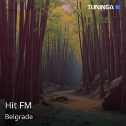 Hit FM