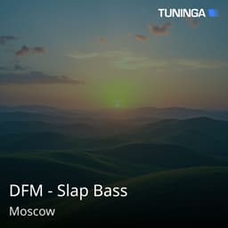 DFM - Slap Bass