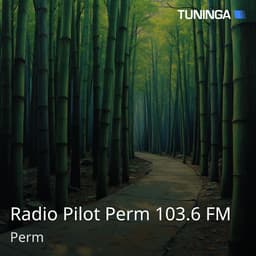 Radio Pilot Perm 103.6 FM