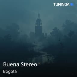 Buena Stereo