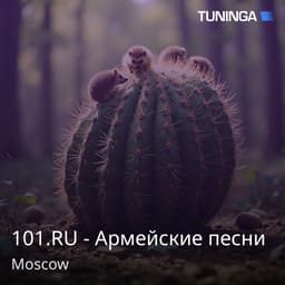 101.RU - Армейские песни