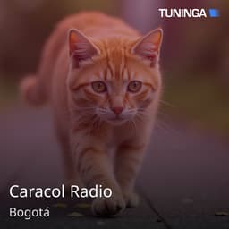 Caracol Radio