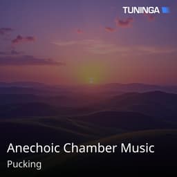 Anechoic Chamber Music