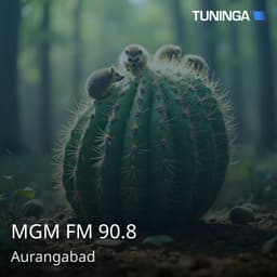 MGM FM 90.8