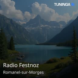 Radio Festnoz