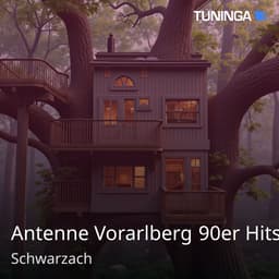 Antenne Vorarlberg 90er Hits