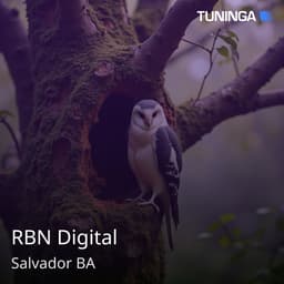 RBN Digital