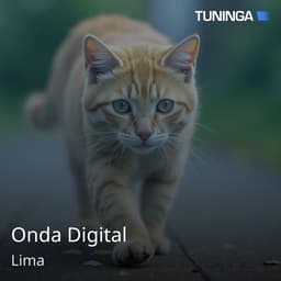 Onda Digital