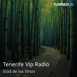 Tenerife Vip Radio