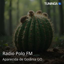 Radio Polo FM