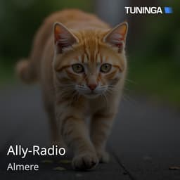 Ally-Radio
