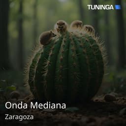 Onda Mediana