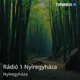 Rádió 1 Nyíregyháza