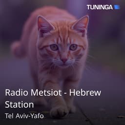 Radio Metsiot - Hebrew Station