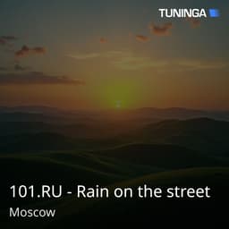 101.RU - Rain on the street