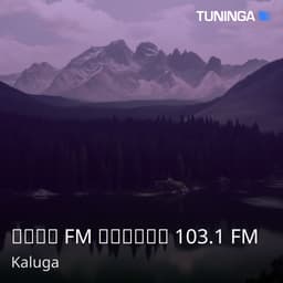Ника FM Калуга 103.1 FM