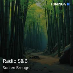 Radio S&B
