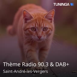 Thème Radio 90.3 & DAB+