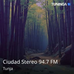 Ciudad Stereo 94.7 FM