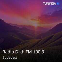 Radio Dikh FM 100.3
