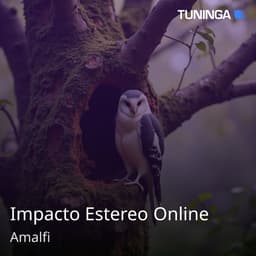 Impacto Estereo Online