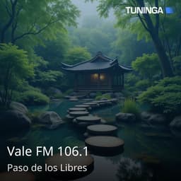 Vale FM 106.1