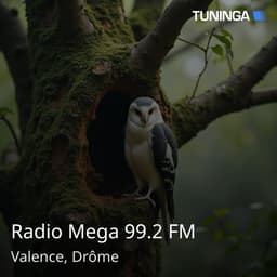 Radio Mega 99.2 FM