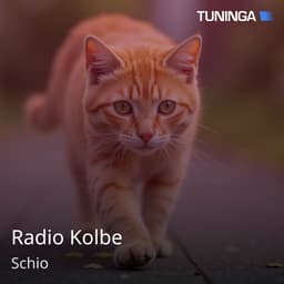 Radio Kolbe