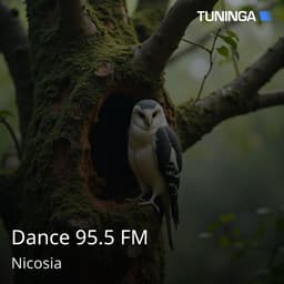 Dance 95.5 FM