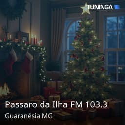 Passaro da Ilha FM 103.3