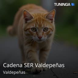 Cadena SER Valdepeñas